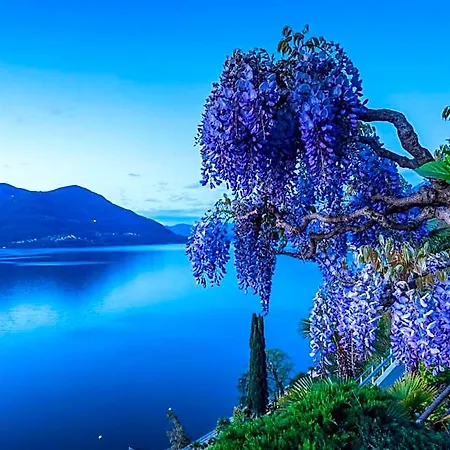 Boutique La Rocca Brissago TI